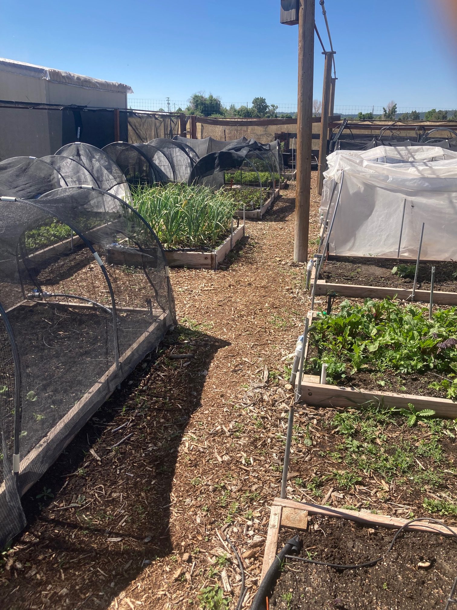 Raised-Beds-Parker-Task-Force-garden-at-Hidden-Mesa-Open-Space